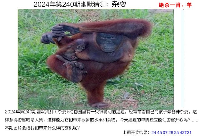 管家婆一码一肖资料免费大全-第2张图片