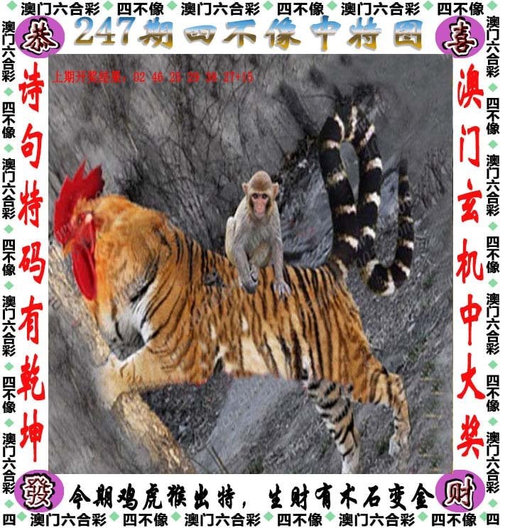 2024年新澳门天天开彩免费查询2024年新澳门天天开彩免费查询，揭秘彩票新动态