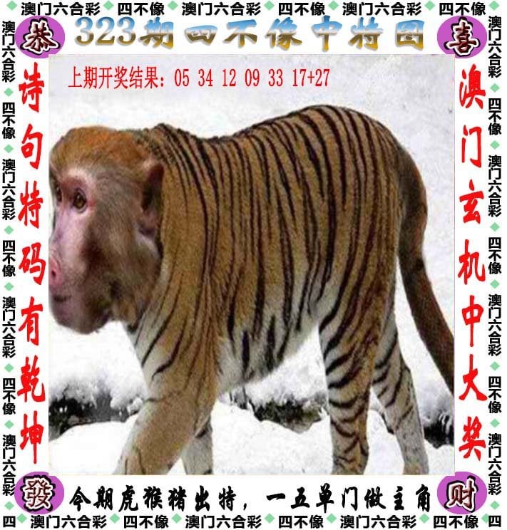 澳门最准一肖一码，预测澳门彩票的神秘力量