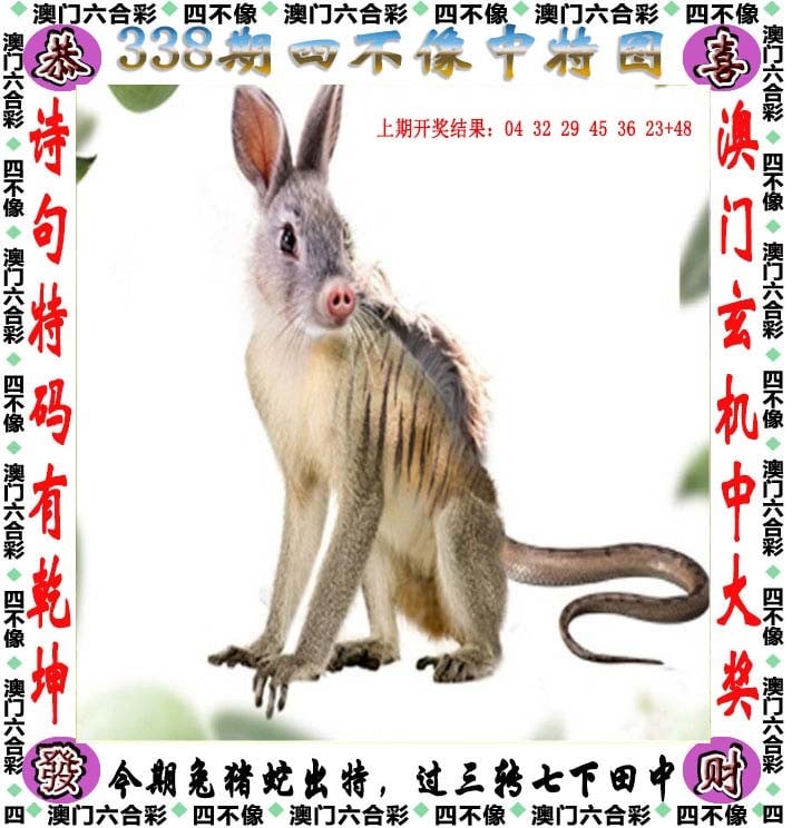澳门最难一肖一码-第2张图片