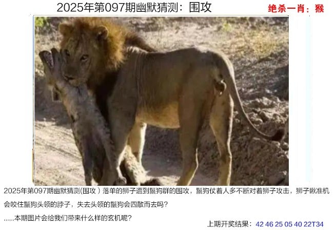 2025新澳免费资科大全2024澳门天天六开彩免费图揭秘