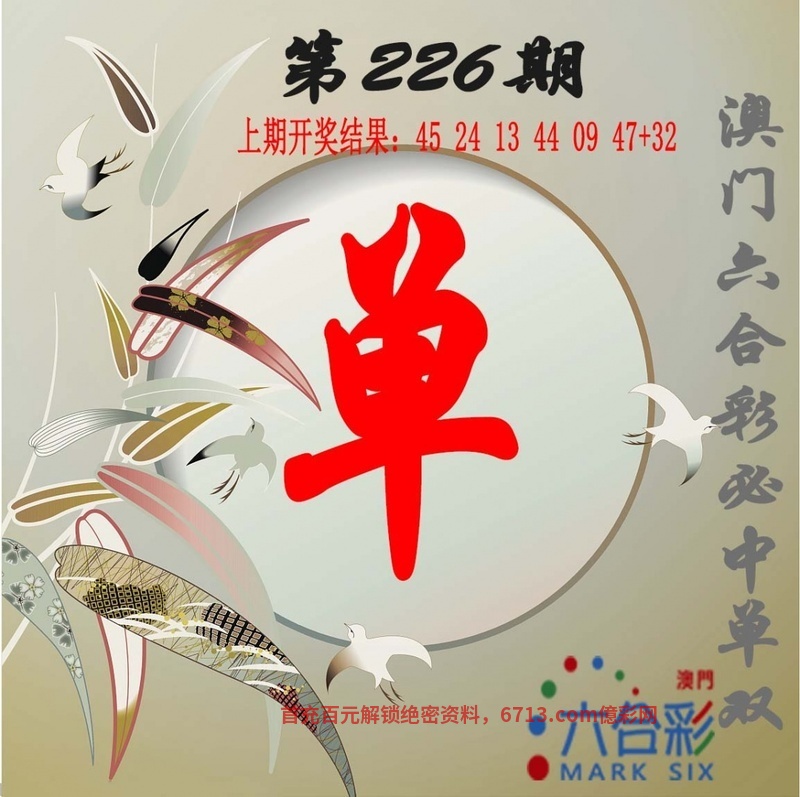 澳门免费开奖大全，49图库揭秘-第2张图片