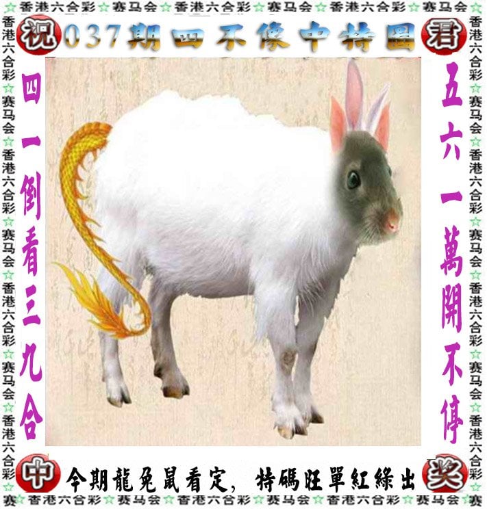 2024今晚香港开特马开什么六期一今晚香港特马盛事揭幕，2024展望与展望-第3张图片