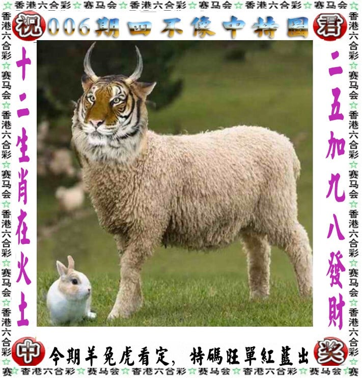 管家婆精选心水资料网管家婆精选心水资料网，一站式资料库，智慧生活新篇章