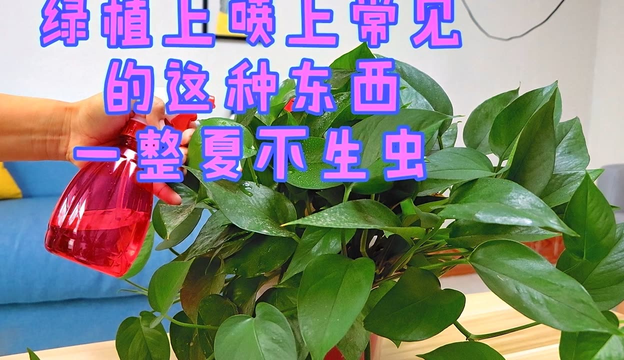 小东西呢喷的到处都是-第3张图片