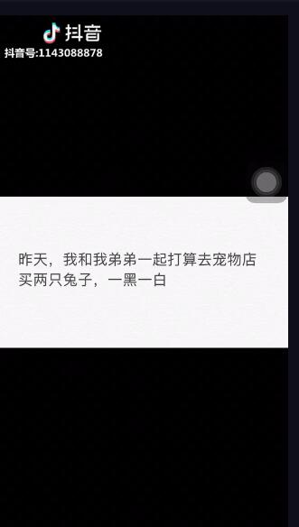 老师两个大兔子抖来抖去视频-第2张图片