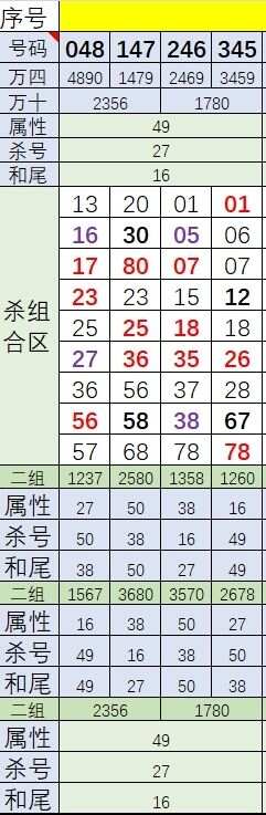 49码开特无错过规律-第1张图片