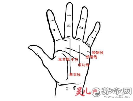 手相没有事业线手相没有事业线解析