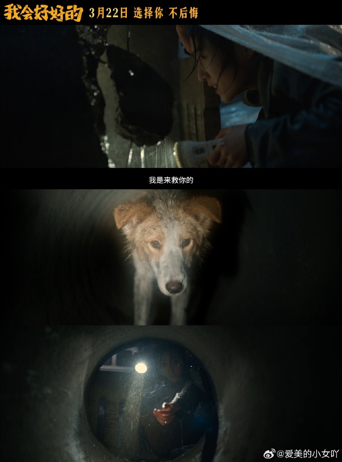 狗配人会锁住多长时间能分开电影狗配人会锁住多长时间能分开-第2张图片