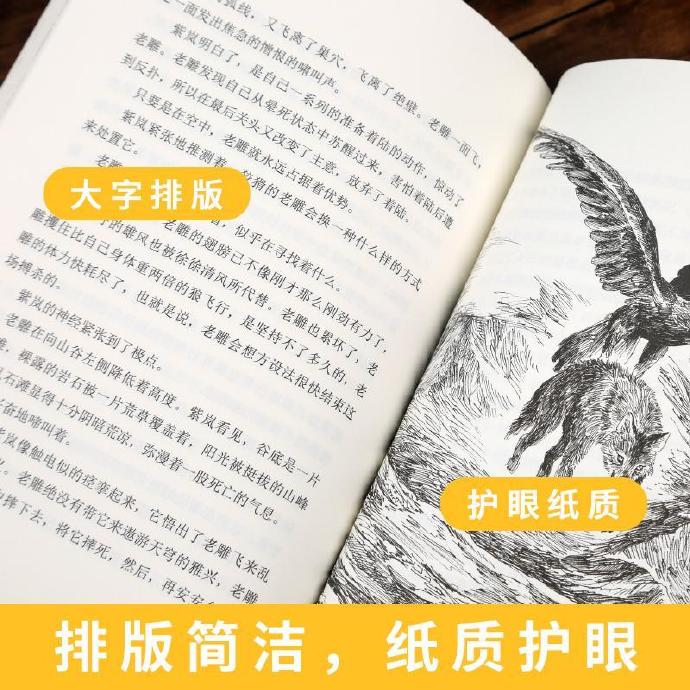 狼王梦在线阅读
