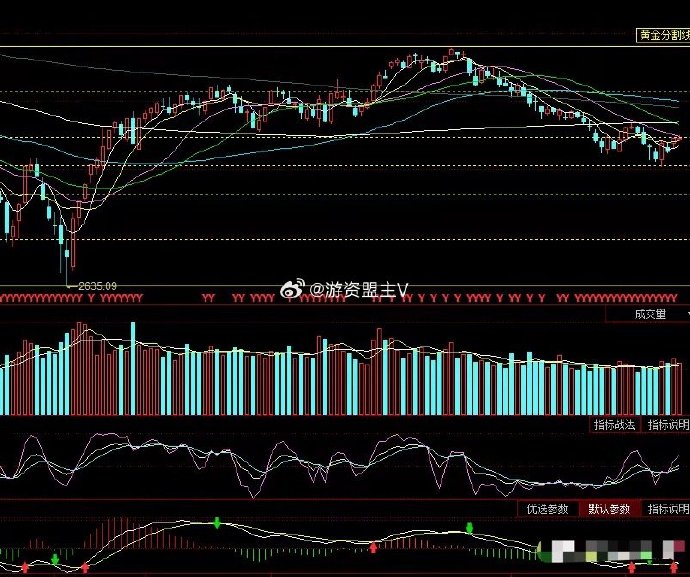 香港曾道六肖精选一肖 泳装香港曾道六肖精选一肖，揭秘预测与策略