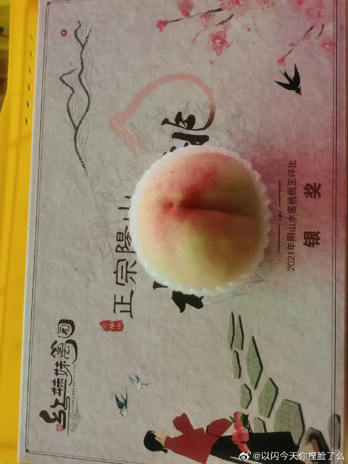 水蜜桃传播传媒有限公司水蜜桃传播传媒有限公司，引领传播新风潮-第2张图片