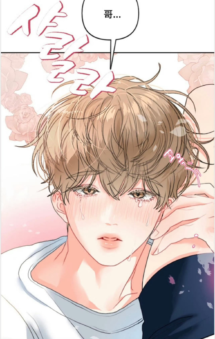 备韩漫无遮挡在线，探索无拘无束的漫画世界