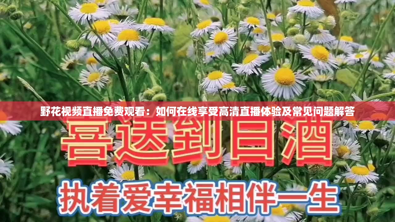 野花视频免费观看在线播放8野花视频免费观看在线播放文章-第2张图片