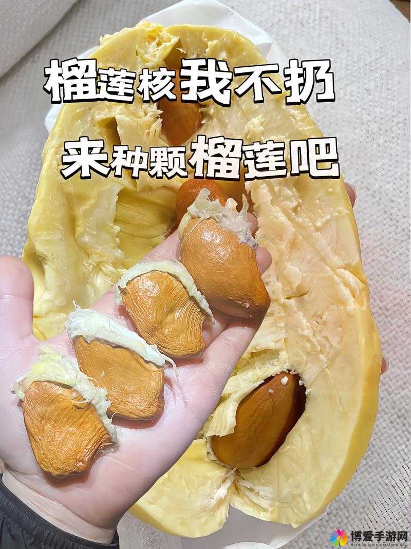 草莓、秋葵、香蕉、丝瓜、番茄APP，生活小助手-第2张图片