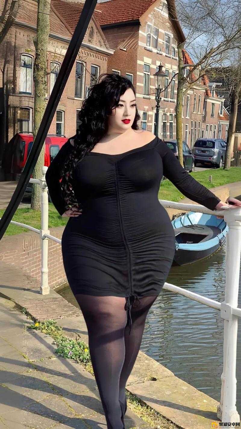 亚洲妇女熟BBW亚洲妇女熟BBW，多元文化下的女性力量-第2张图片