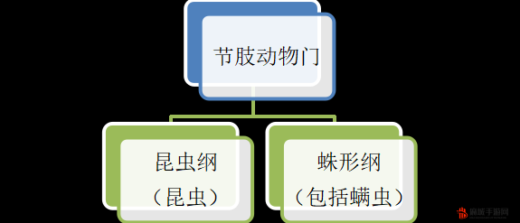 yw1139龙物视频在线观看龙物，神秘的yw.1139-第1张图片