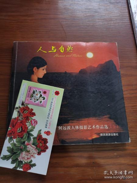 苍老师作品集，艺术与人生的探索