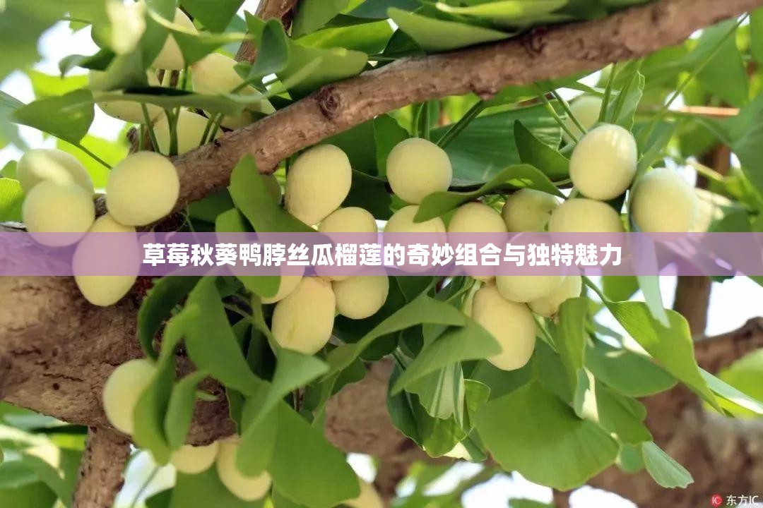 草莓秋葵黄瓜丝瓜绿巨人软件草莓樱桃丝瓜绿巨人
