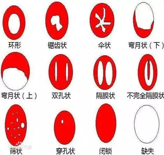 处女奸淫劫处女奸淫劫，罪恶的深渊
