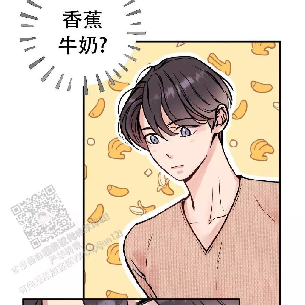 哈尼熊的奇妙世界