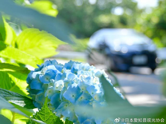 日本一卡免费观看指南