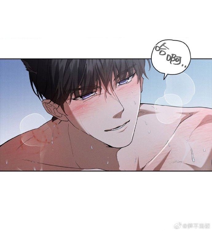 影后的小狼狗1v1免费阅读影后的小狼狗与1V1