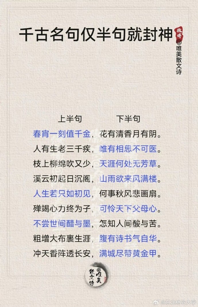 明月光下的诗意-第2张图片