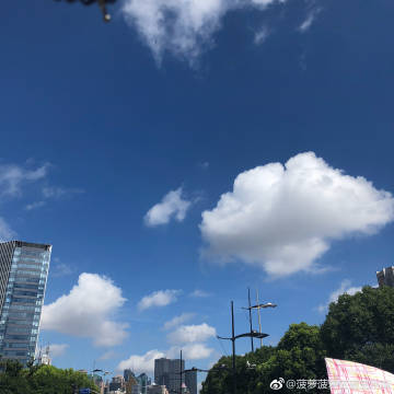 菠萝蜜在线观看免费观看电视亚洲精品久久久蜜桃