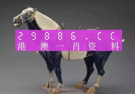 澳门一肖一码，稳赢100%的秘诀