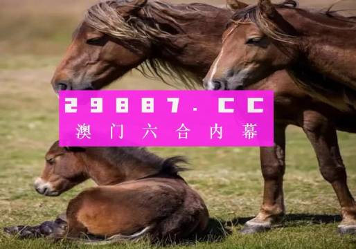 澳门今晚必中一肖一码2023开澳门今晚必中肖码2023开-第3张图片
