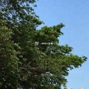 13297com澳门马关键词，13297com澳门马