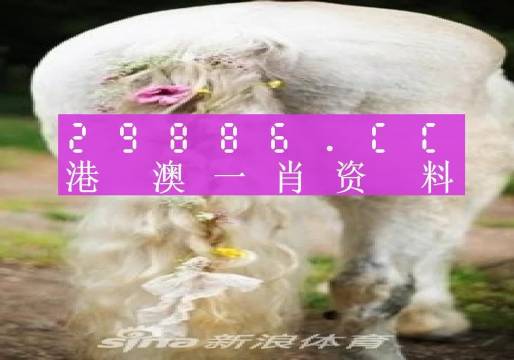 白小姐四肖精选一白小姐四肖精选期期准-第3张图片