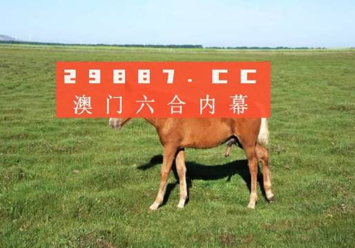 香港马黄大仙资料概述-第3张图片