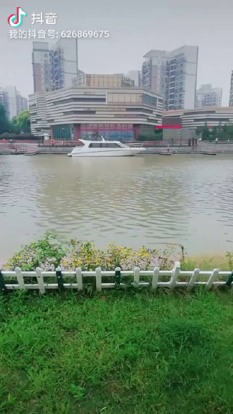 东东网络集团东东网，网络生活的新窗口-第1张图片