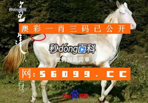 944cc资料免一费大全2024年澳彩600图库944cc资料免一费大全-第2张图片