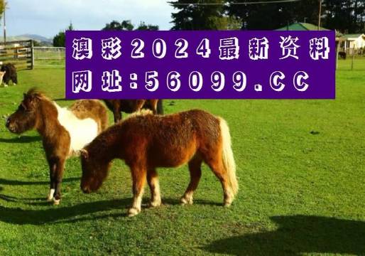 澳门一肖一码100%准确安澳门一肖一码，100%准确保证-第1张图片