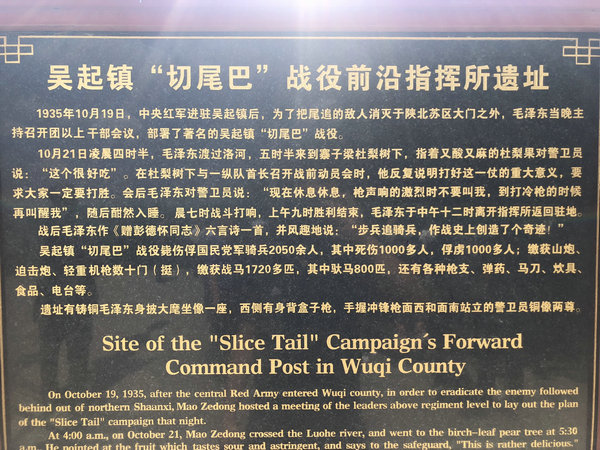 白凤翔白凤翔，风华绝代的艺术大师