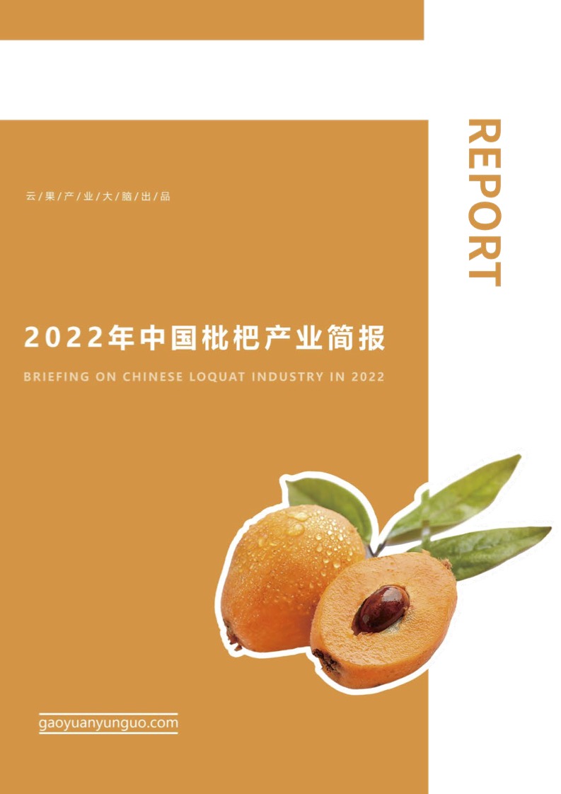 精产国品一二三产区区别在线观看-第2张图片