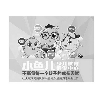 小鱼儿主页小鱼儿主页，探索无限可能-第3张图片
