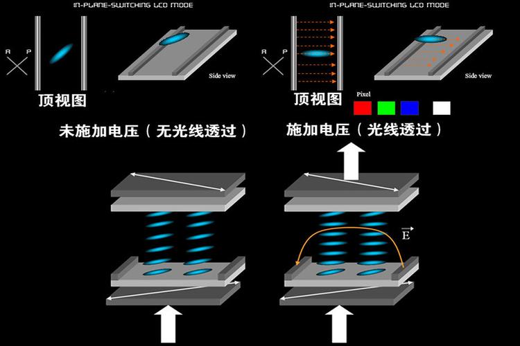 renrense_人人僧猜三个数字_人人僧打一数字