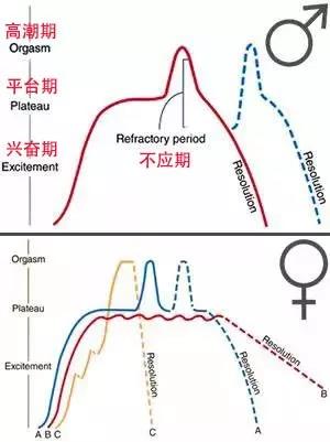 zoof iliaZOZ0ZO女人高潮类，色情内容的危害与防范-第3张图片