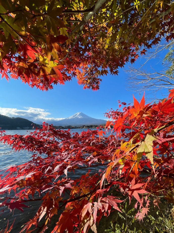 日本一卡二卡3卡四卡在线新区日本在线新区一卡二卡三卡四卡概述-第1张图片