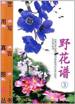 野花日本大全免费视频720野花日本大全免费视频720，警惕色情内容-第1张图片