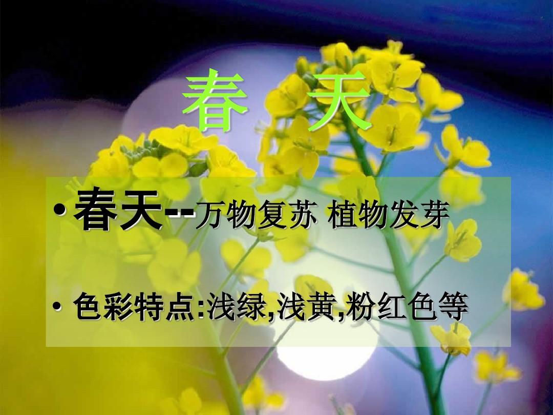 第四色站第四色站，探索多元色彩的世界-第3张图片