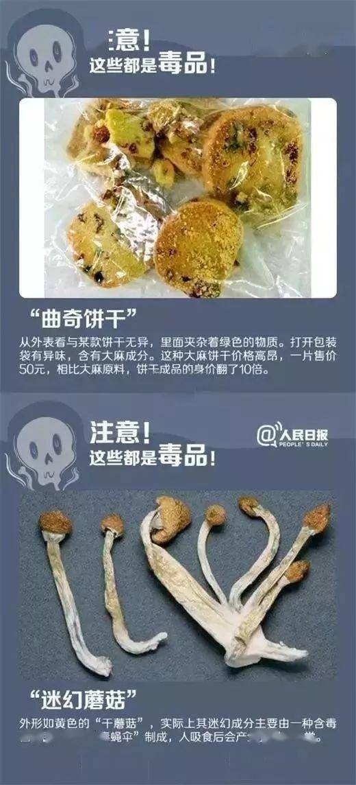 黄图APP，警惕网络上的潜在风险