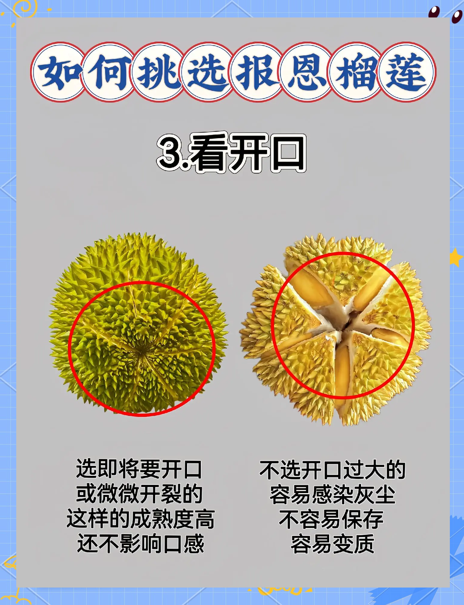 榴莲视频在线观看下载榴莲视频在线观看下载-第3张图片