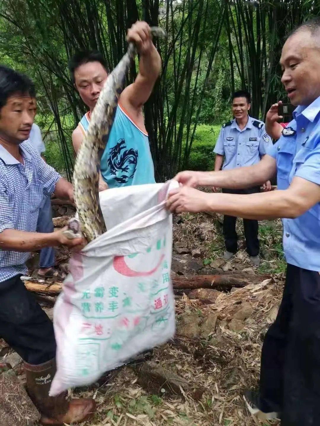 人与禽一级一级毛片，探索自然与人类文化交织的魅力-第3张图片