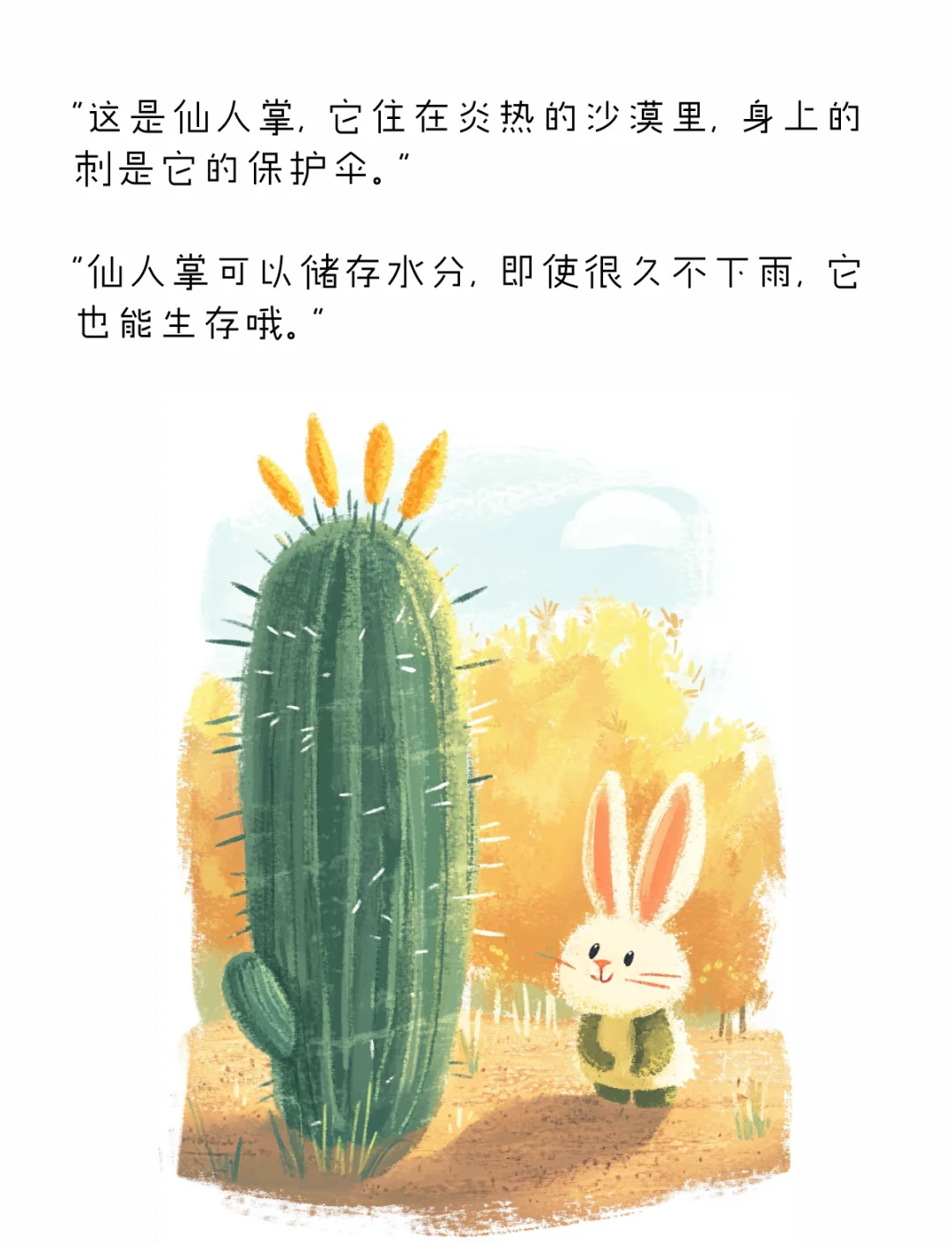 植物园第一会所，探索自然之美与休闲之乐-第2张图片