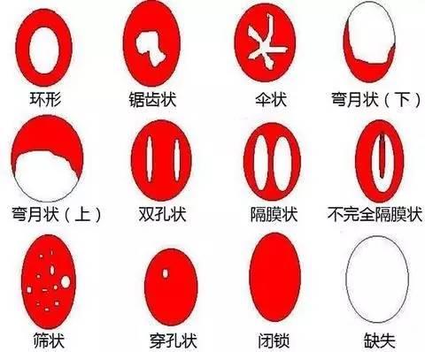 粉嫩私处12P探索之旅-第3张图片